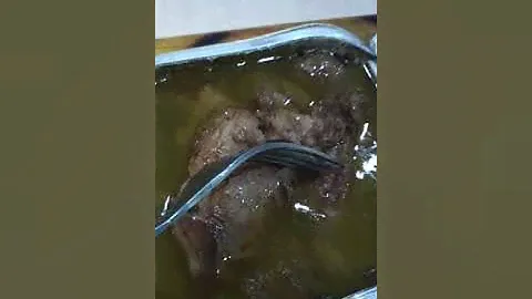 Супер говядина из Барышского мясокомбината