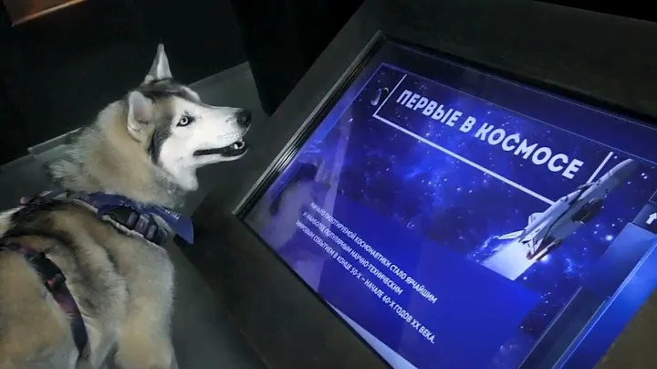 С Днём КОСМОНАВТИКИ!