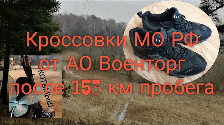Кроссовки МО РФ от АО Военторг после 153 км пробега.